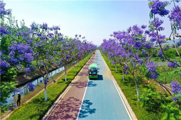 云南旅游,云南旅行社,云南團(tuán)建公司,云南策劃公司,云南會(huì)議會(huì)展,紅河旅游,紅河旅行社,紅河團(tuán)建公司,紅河策劃公司,紅河會(huì)議會(huì)展：初夏的紅河，絕美！