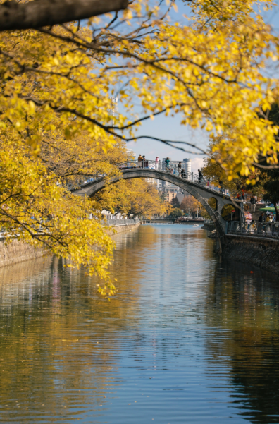 云南策劃公司,昆明旅游,昆明旅行社,昆明團建公司,昆明會議會展：跟著賽事游昆明｜冬日頂配浪漫！在西山，與海鷗邂逅一場足球賽~