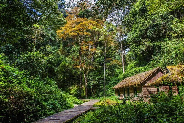 紅河旅游：旅居紅河 暢享四季 | 來紅河，看山